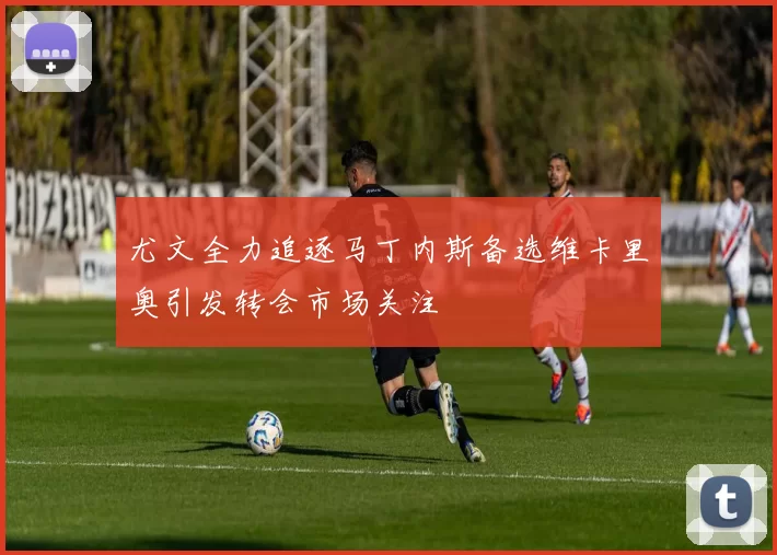 尤文全力追逐马丁内斯备选维卡里奥引发转会市场关注